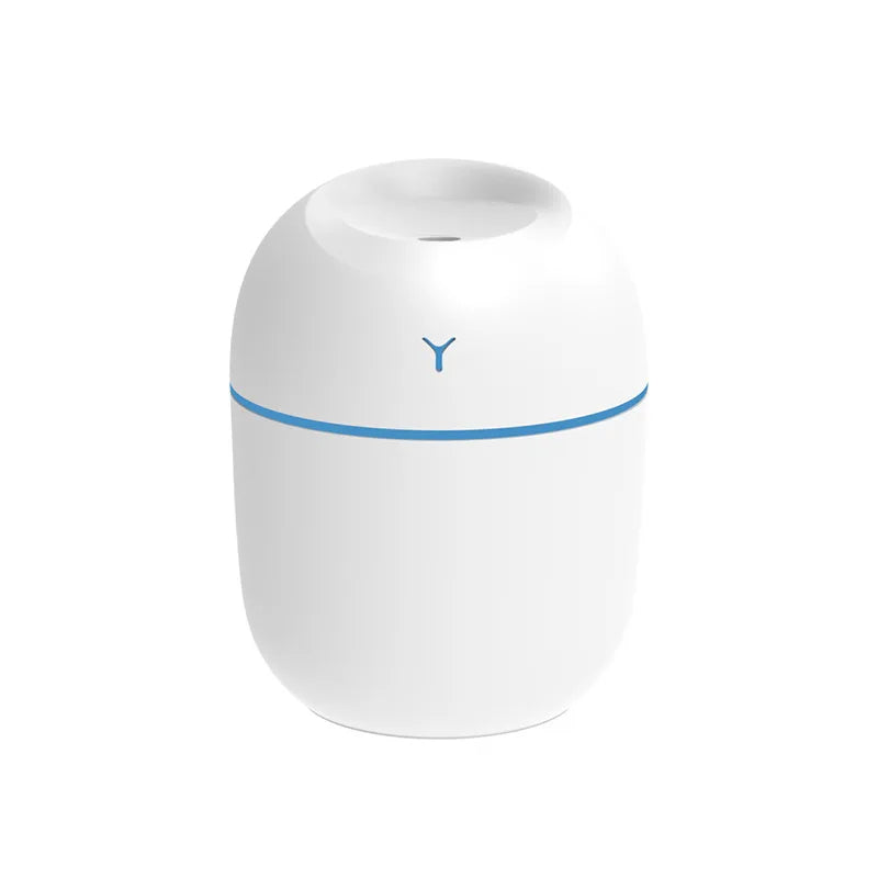 Portable Ultrasonic Humidifier/ Essential Oil Diffuser with USB