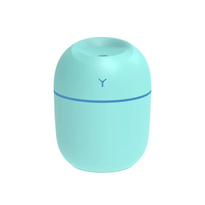Portable Ultrasonic Humidifier/ Essential Oil Diffuser with USB